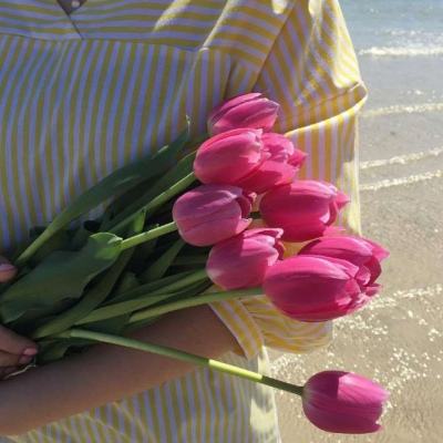 保卫花园2无敌版